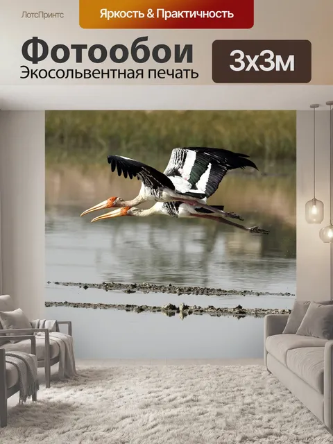 Фотообои Аисты