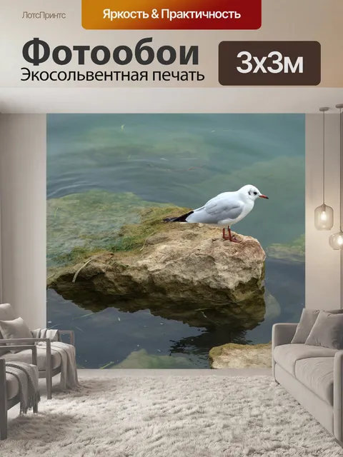 Фотообои Птица