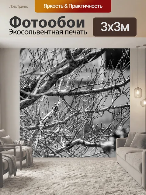 Фотообои Птицы