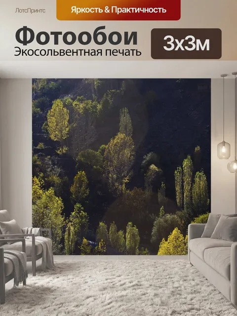Фотообои Дерево