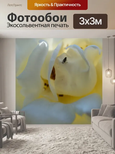 Фотообои Розы