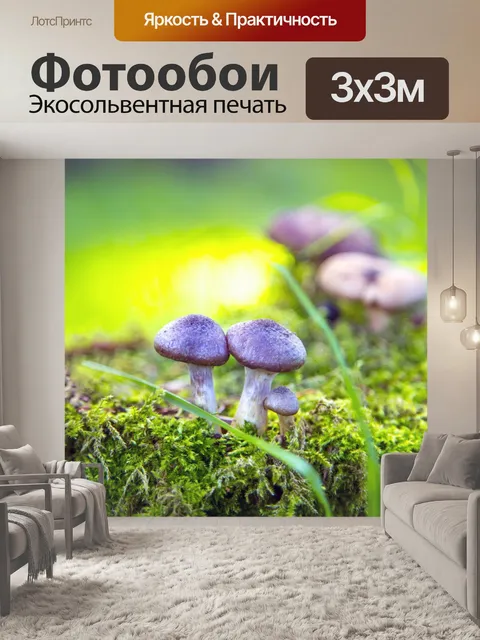 Фотообои Маленькие грибы