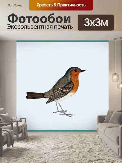 Фотообои Робин Винтаж Арт Плакат