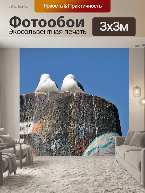 Фотообои Чайка Пара