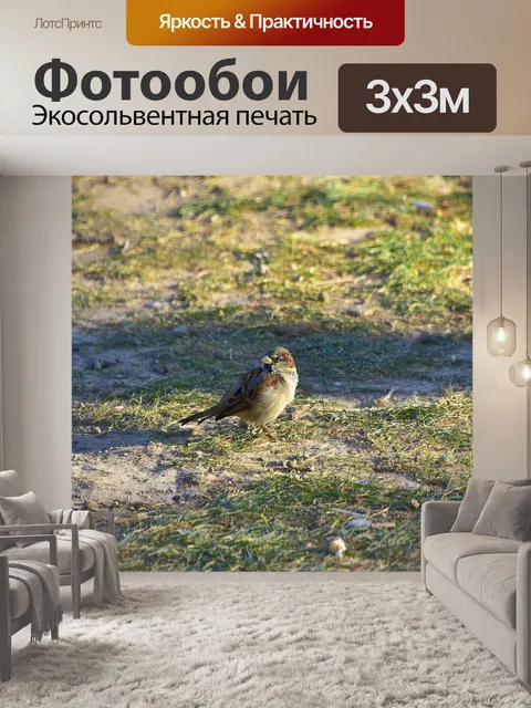 Фотообои Птицы