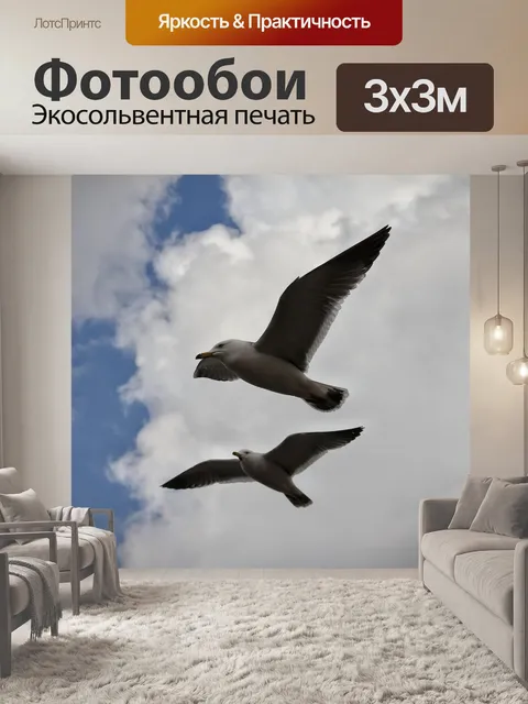 Фотообои Животное