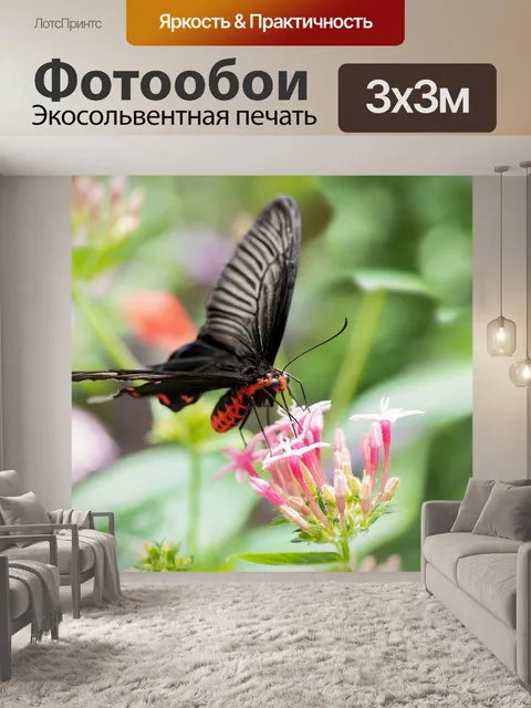 Фотообои Бабочка