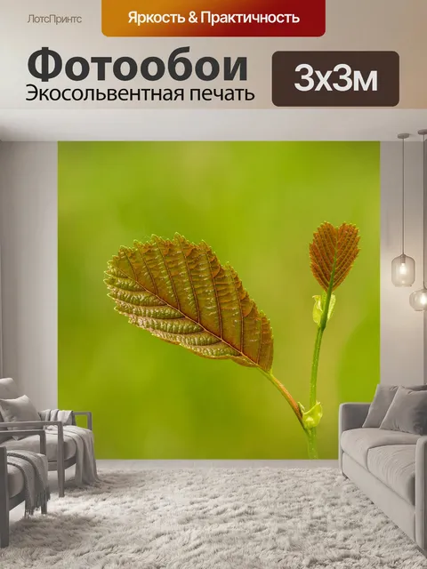 Фотообои Листья