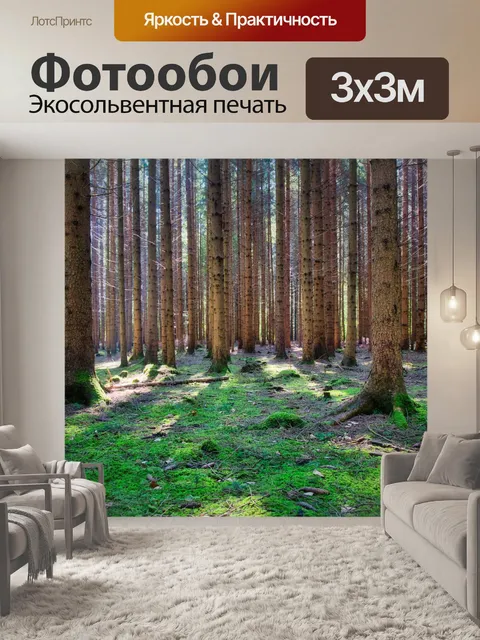 Фотообои Лес