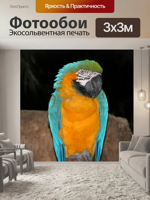 Фотообои Попугай