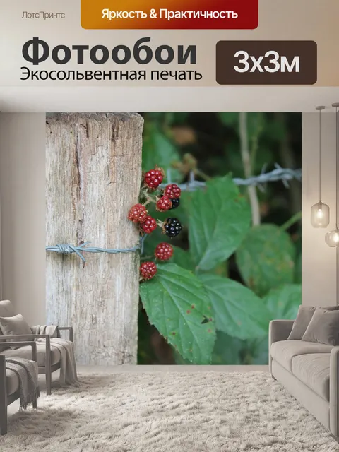 Фотообои Фрукты