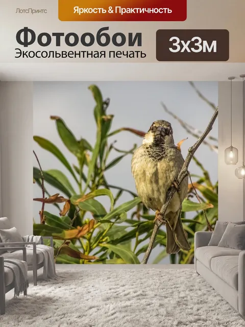 Фотообои Воробей