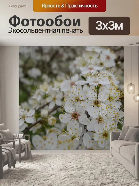 Фотообои Цветы