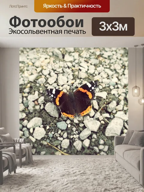 Фотообои Бабочка