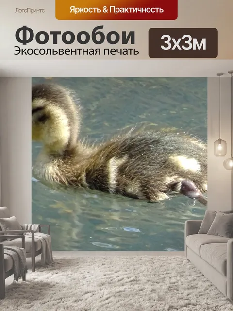 Фотообои Утенок в пруду