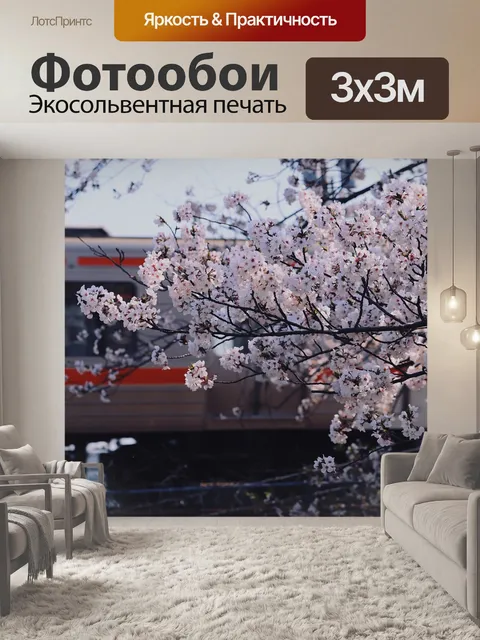 Фотообои Сакура