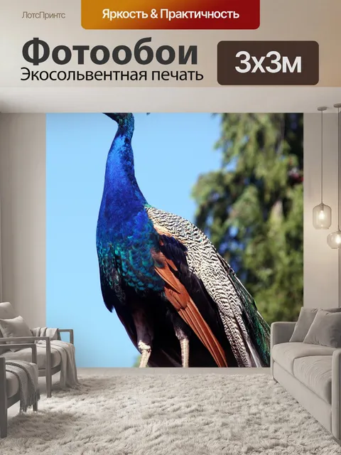 Фотообои Птица