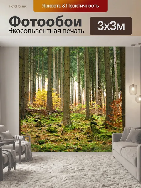 Фотообои Лес