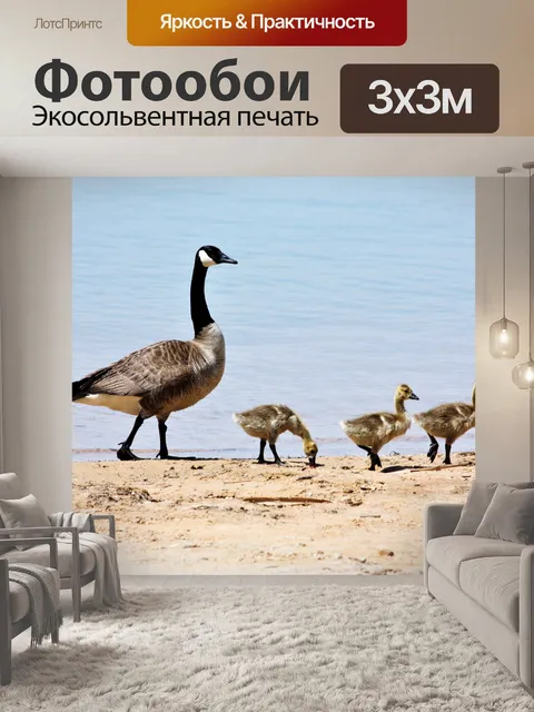 Фотообои Канадский гусь и гусята на пляже