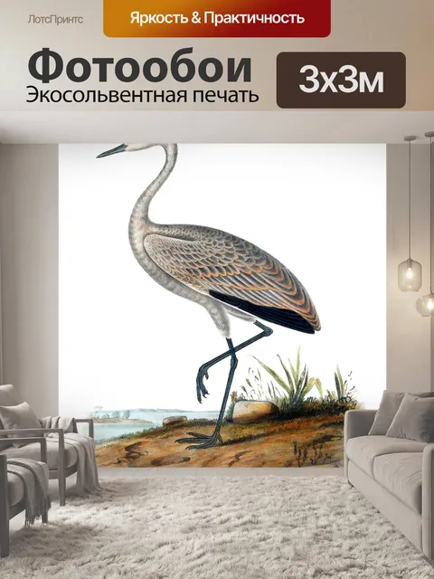 Фотообои Журавлиное Винтажное Искусство
