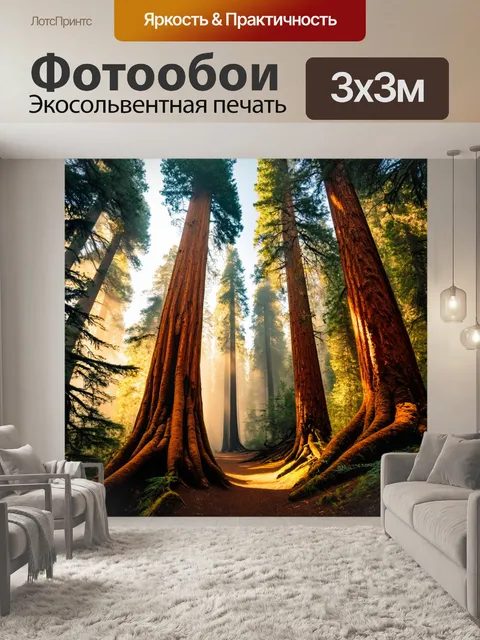Фотообои высокие красные деревья секвойи, утренний туман рассекает лучи света