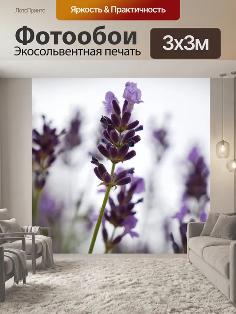 Фотообои Лаванда