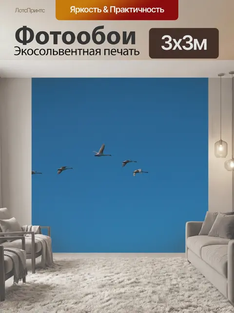 Фотообои Гуси