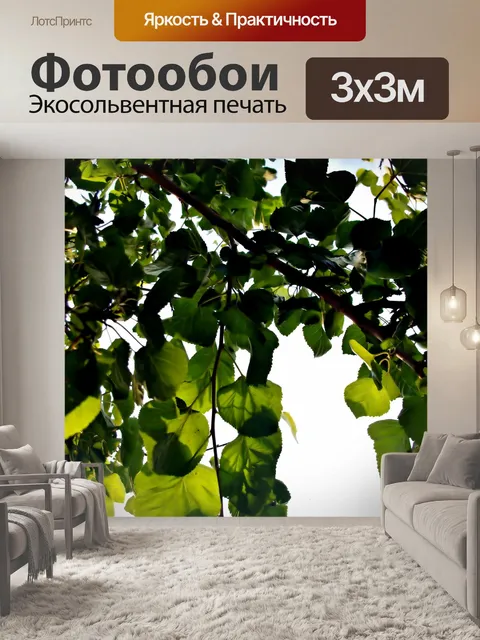 Фотообои Кроны деревьев