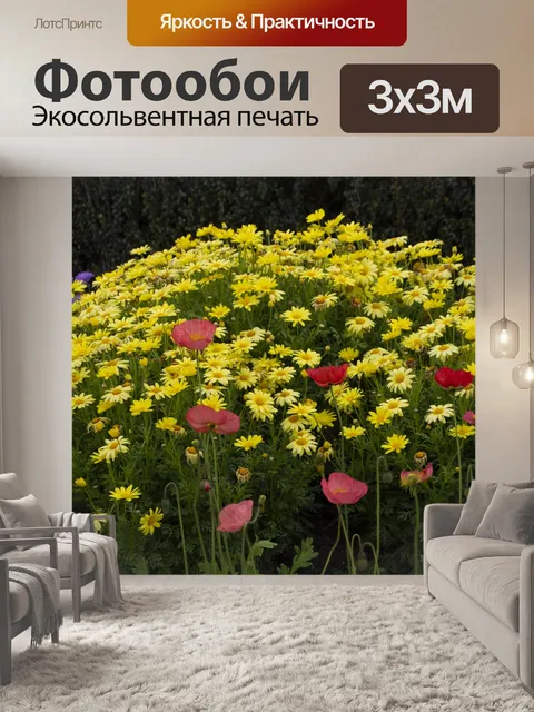 Фотообои Ромашки и Маки