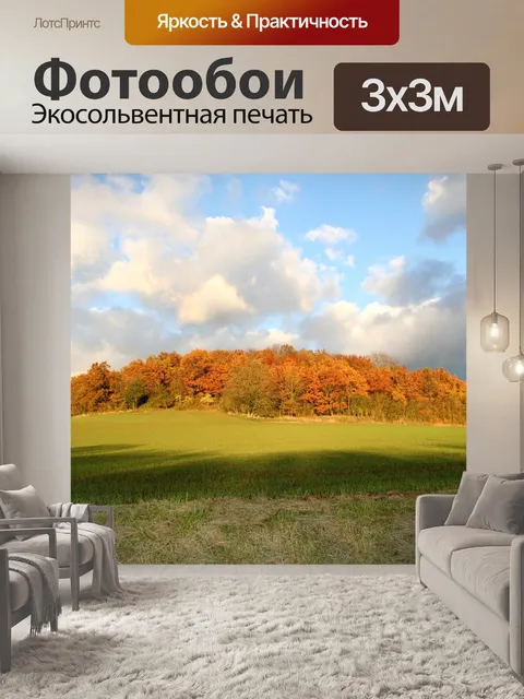 Фотообои Поле