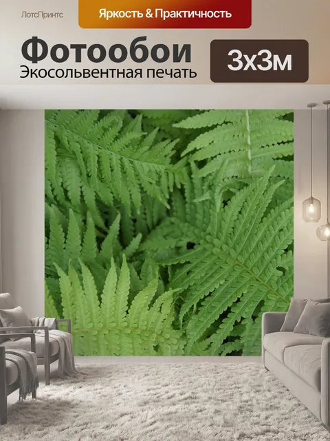 Фотообои Папоротники