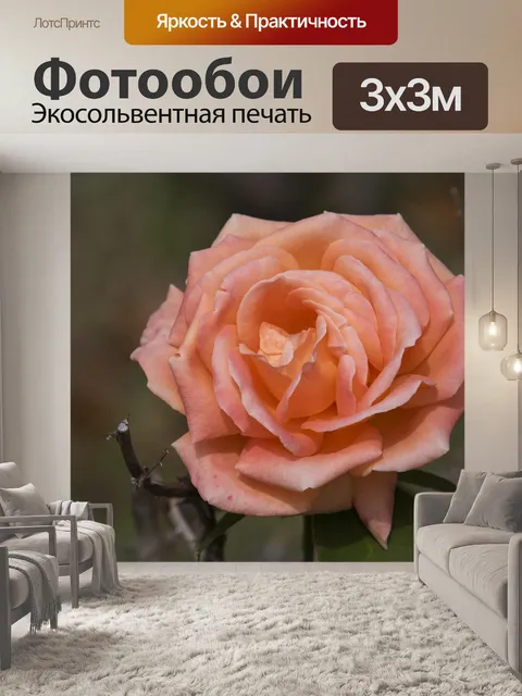 Фотообои Осень