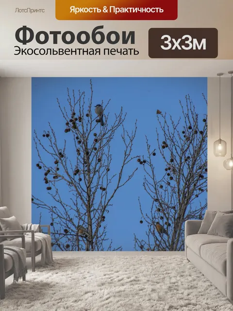 Фотообои Два Робина и Джей