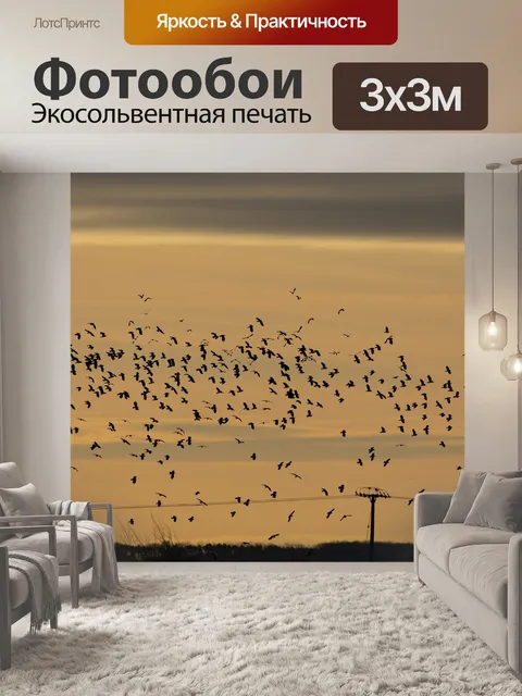 Фотообои Летающие птицы