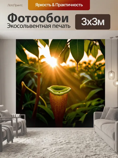 Фотообои непентес в вечернем свете заката, когда солнечные лучи пронизывают листву ботанического сада будапешта