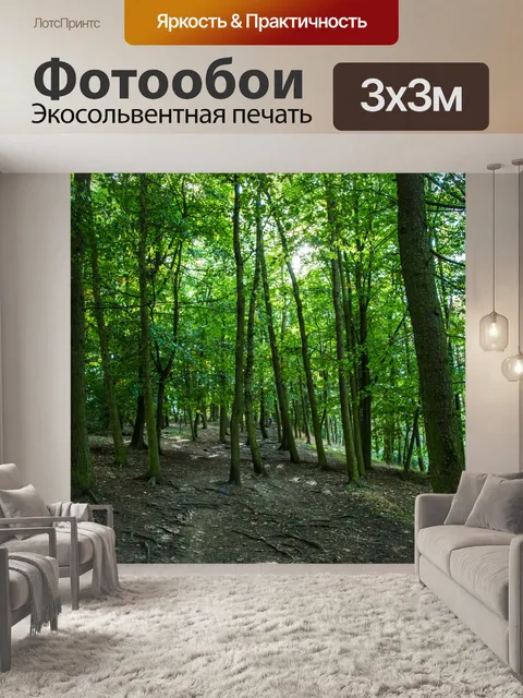 Фотообои лес