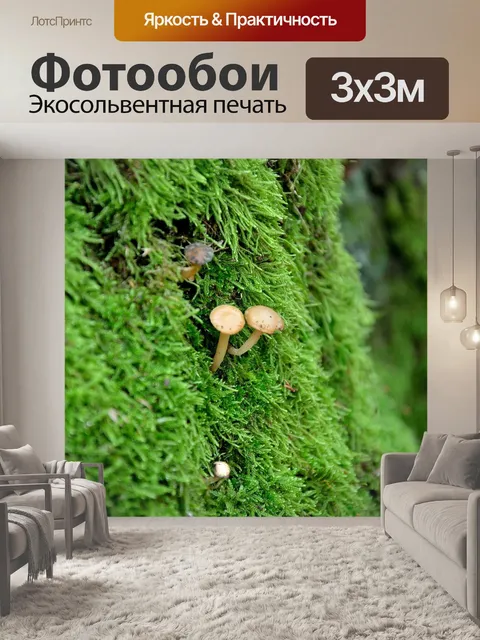 Фотообои Грибы