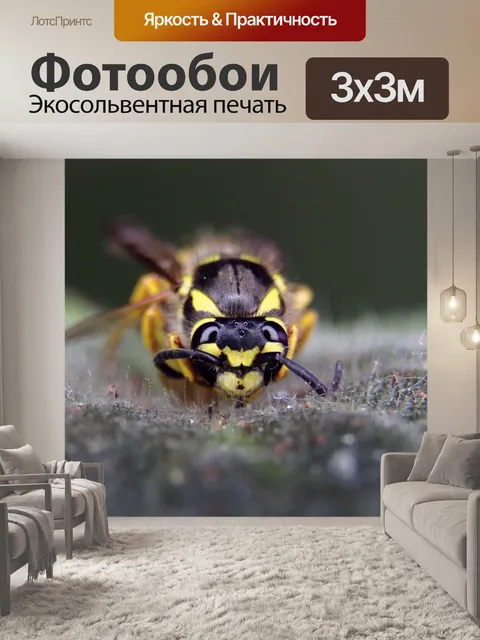 Фотообои Цветок