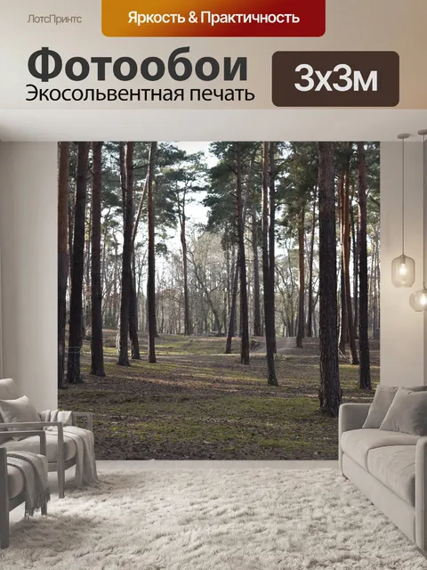 Фотообои Лес