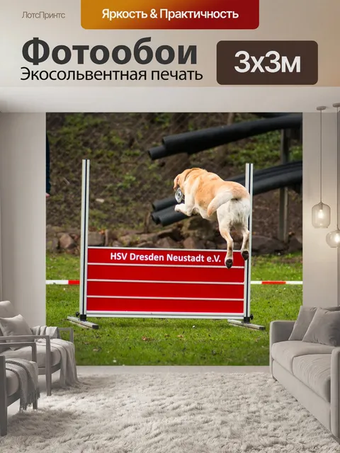 Фотообои Прыгнуть