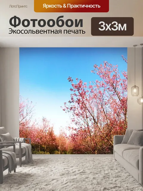 Фотообои Prunus cerasoides, дикая гималайская виш