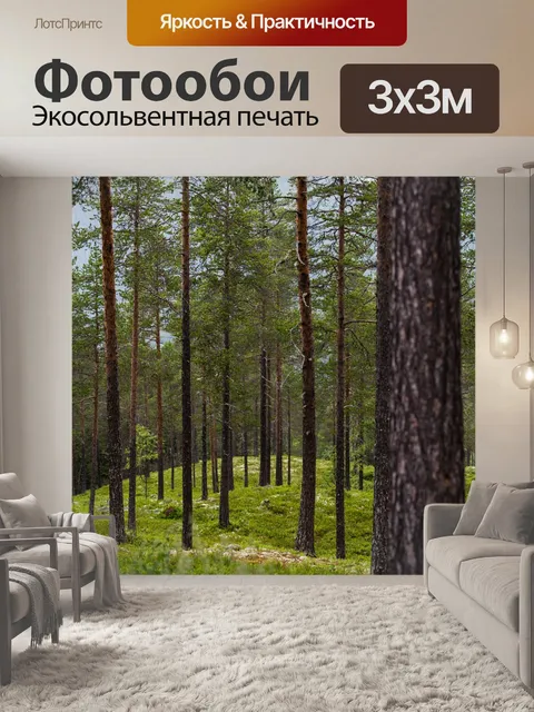 Фотообои Лес