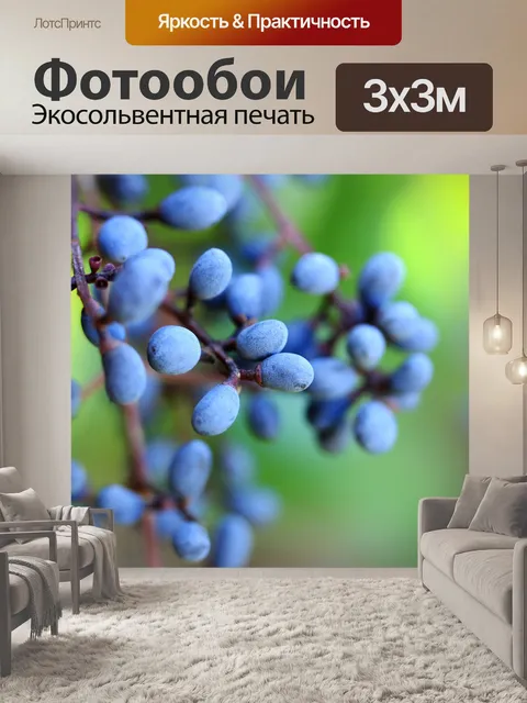 Фотообои Ягоды Макро
