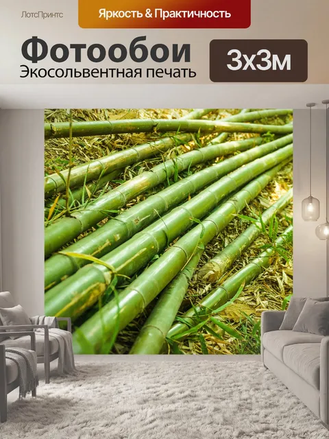 Фотообои Бамбуковый лес природа фон