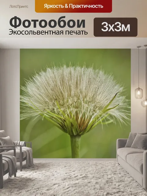 Фотообои Трава