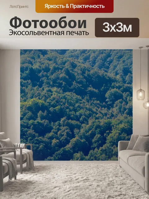 Фотообои Горный лес