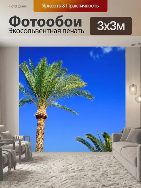 Фотообои пальмы и голубое небо