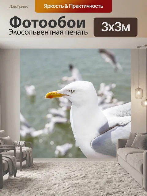 Фотообои Чайки в море
