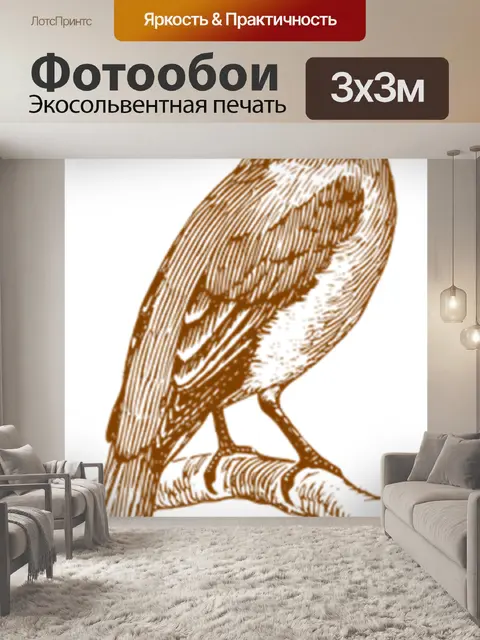 Фотообои Птица