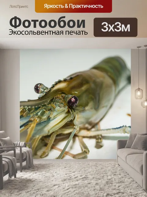 Фотообои Свежие приготовленные креветки фон мореп